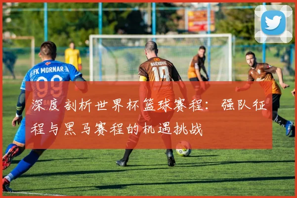 深度剖析世界杯篮球赛程:强队征程与黑马赛程的机遇挑战